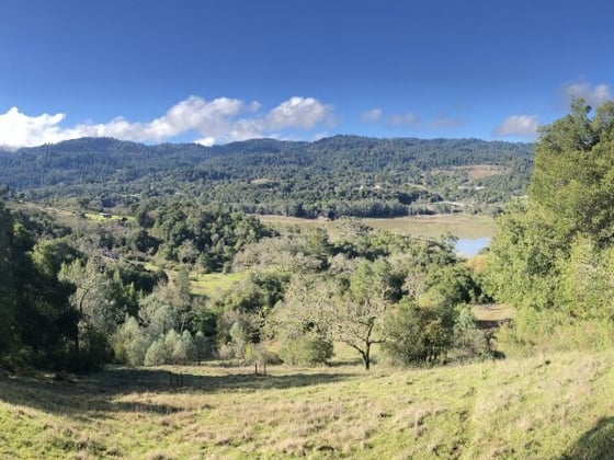 Potential site of new trail connecting the Beatty Property to Sierra Azul