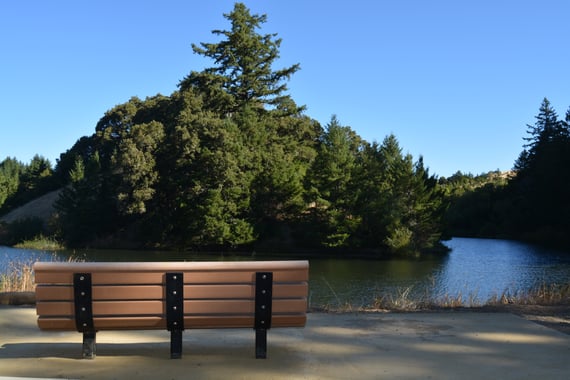 ADA Midpen_Hima-Tammineni_Horseshoe-lake-loop-4