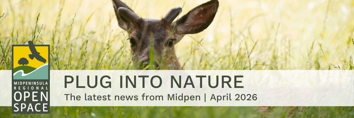 A banner with the text "Plug into Nature: The latest news from Midpen, April 2026"