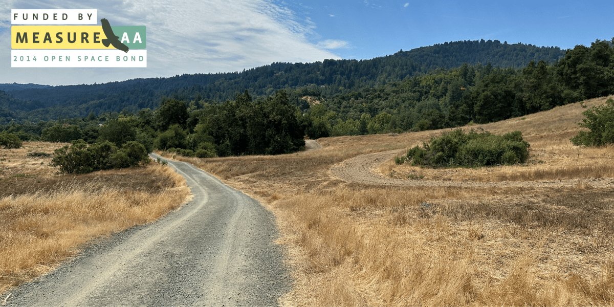 New trail cuts through dry grassland habitat