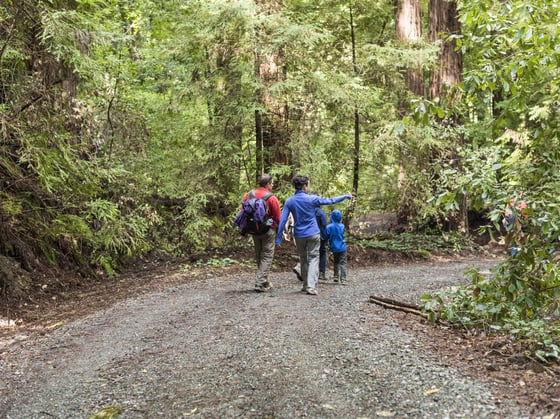 BCR_Midpen_Alisha-Laborico_Bear-Creek-Redwoods_20190323_122-1
