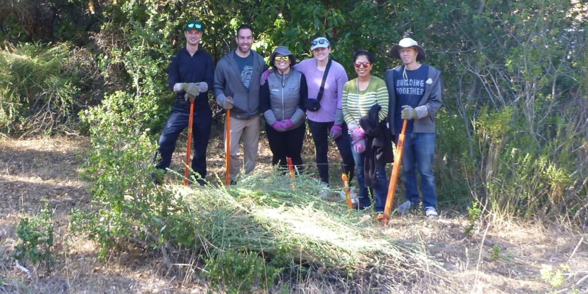 Group of volunteers pose behind pile of invasive plants they removed