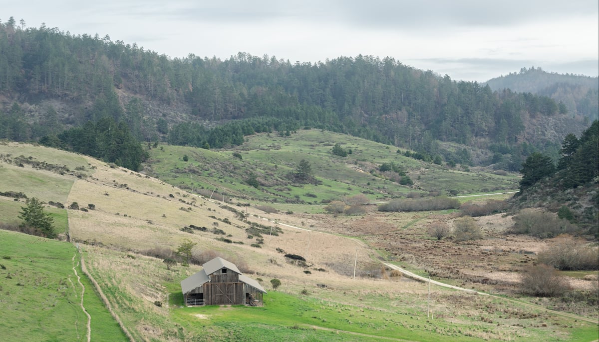 COVER OPTION 3 CR_POST_Teddy-Miller_vistas-structures-barns_20210209_01