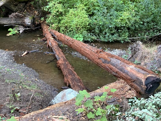 Two large logs installed over San Gregorio Creek