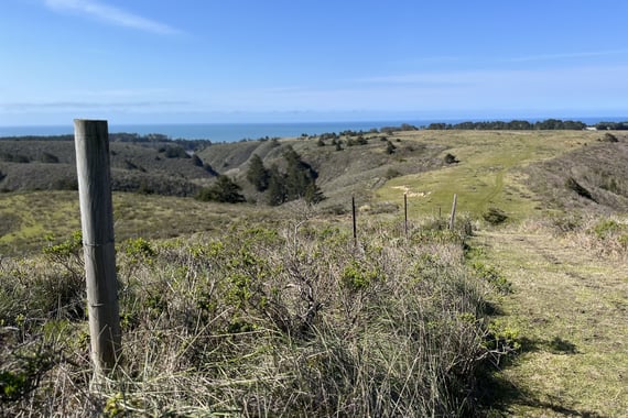 A fence in the grassland of Cloverdale Ranch Open Space Preserve