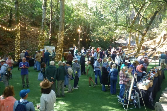 Midpen volunteers and staff mingle in open grove