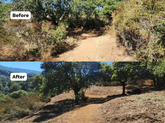 Two photos side by side showing the same segment of the Chamise Trail before and after vegetation clearing to create a shaded fuel break
