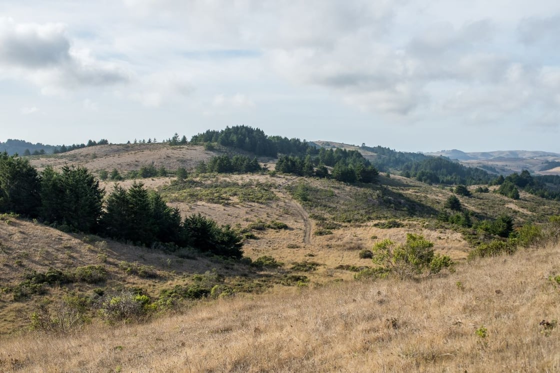 Lookout of Cloverdale