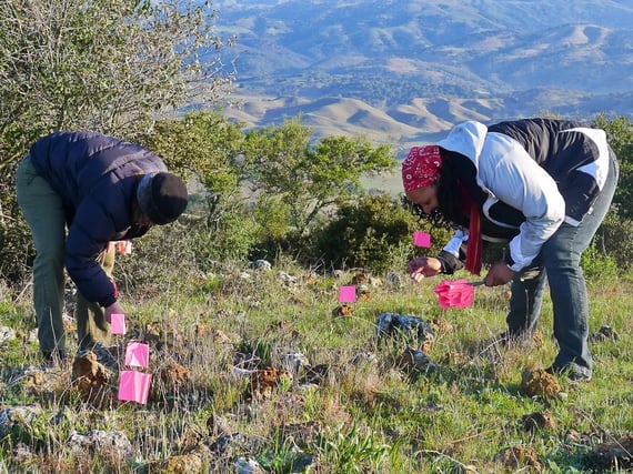 Two Creekside Science members survey grassland