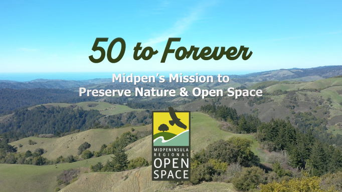 Documentary Title Screen