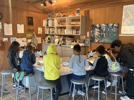 Children sit inside Daniels Nature Center and look at pond samples through a microscope