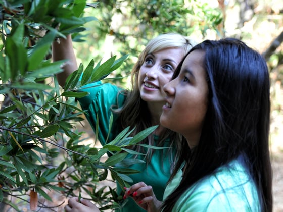 Two girls look closely at a tree to identify it