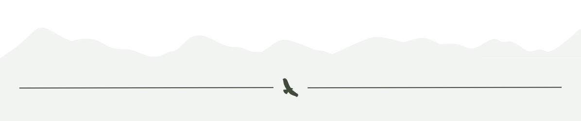 Green mountains with hawk divider