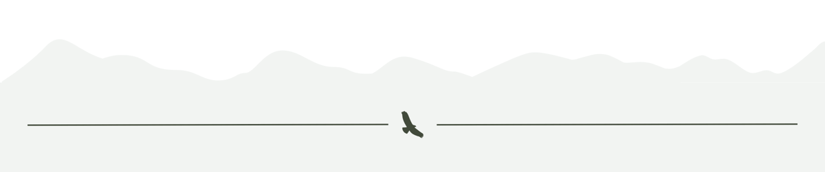 Green mountains with hawk divider