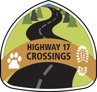 Highway 17 Icon (1)