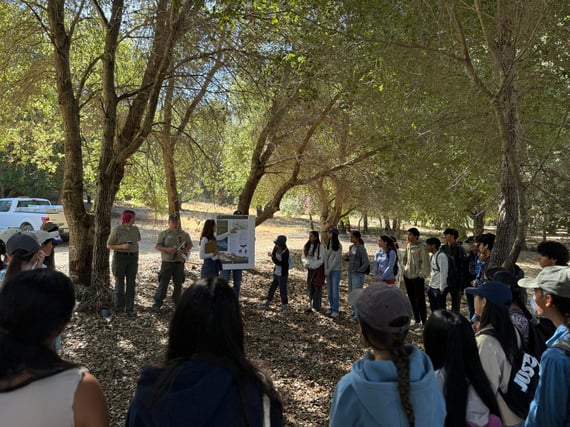 Group of students listen to Midpen staff presenting about restoration project