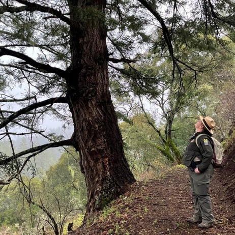 Ranger Lucas at Grasshopper Loop Trail