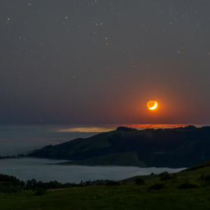 crescent moon hangs in dark sky