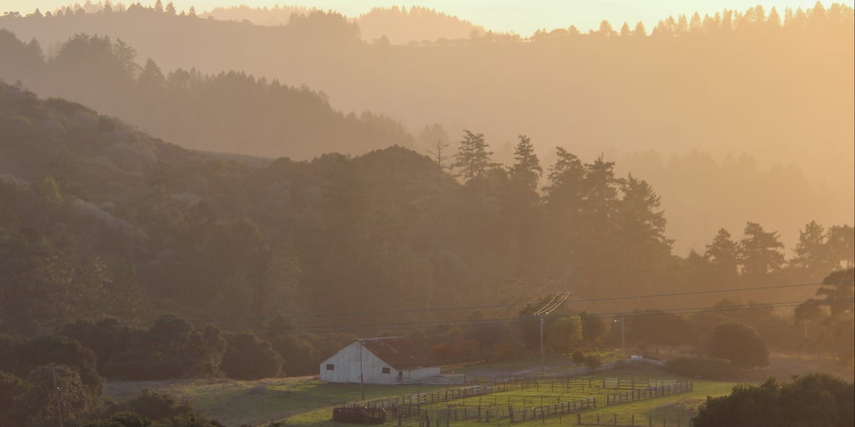 Barn in La Honda Creek Preserve during sundown (Frances Freyberg)