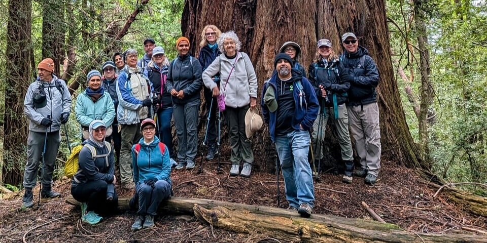Group of guided activity participants pose in front of large redwood