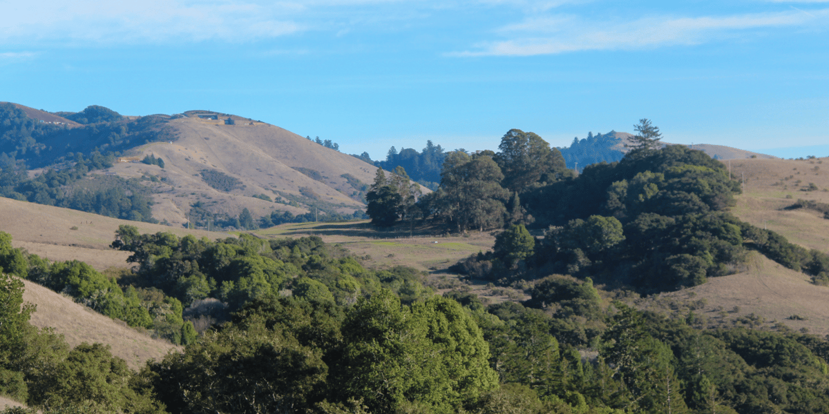 LHC_Midpen_Frances-Freyberg_LHC-Grand-Opening-vistas_20171130