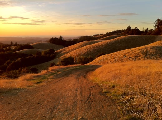 sunset over grassy hills