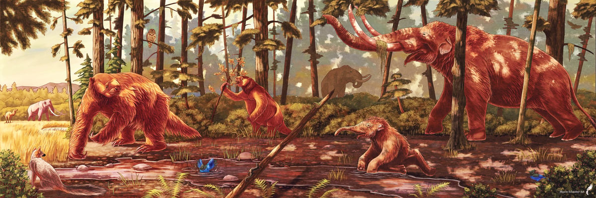 Mastodon Full Scene Midpen