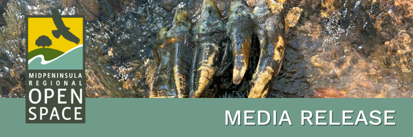 Mastodon Press Release Banner