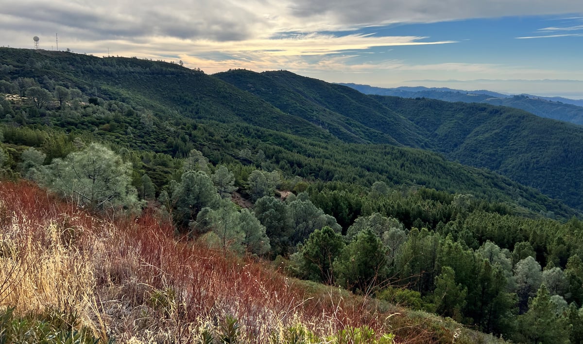 Photo of the Sierra Azul hills by Jasmine Leong