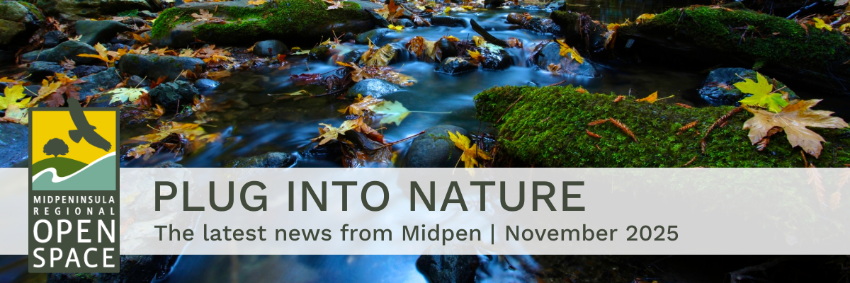 Text that says "Plug Into Nature: The latest news from Midpen | November 2025"