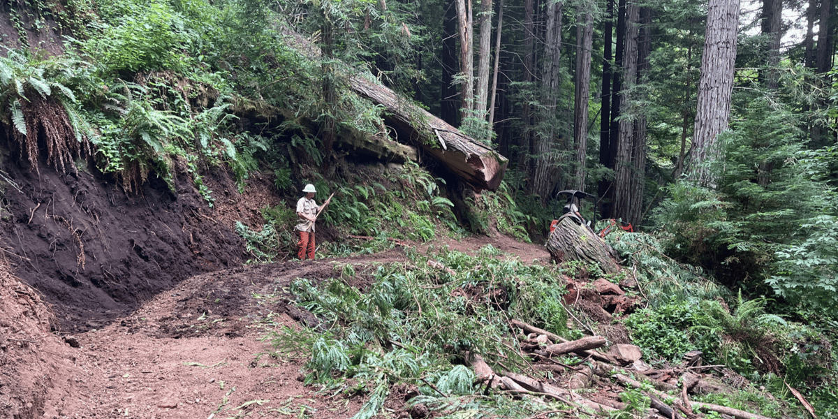 Photo of crews repairing a landslide in Purisima Creek Redwoods preserve