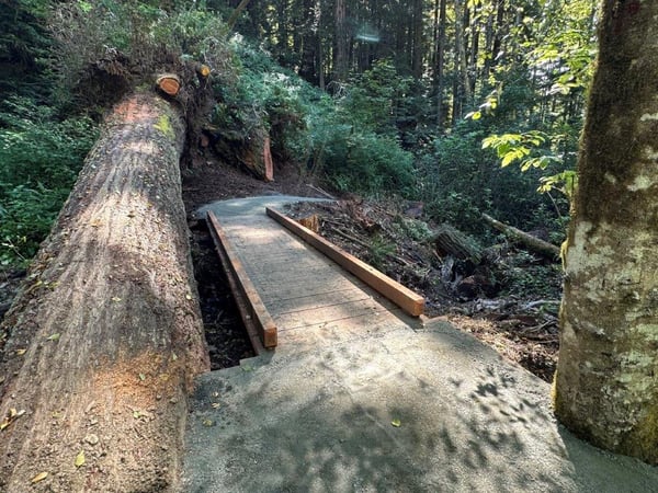 Repaired and cleaned trail, with new trail bridge installed.