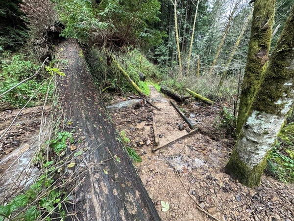 Storm damaged trail with trail bridge washed out. 