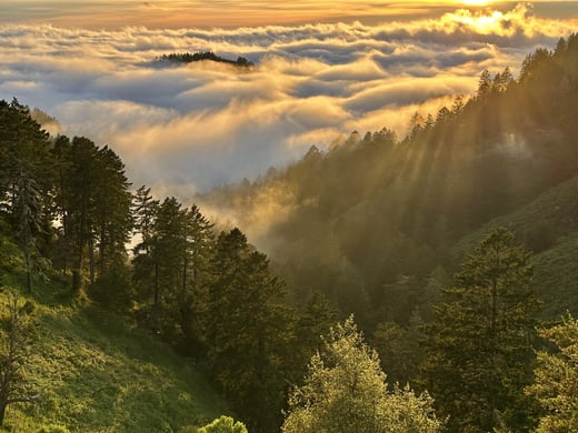 sun shines on forested hills