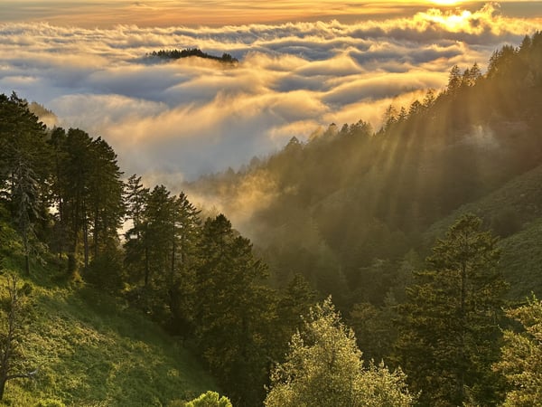 Clouds fill a valley and are lit by setting sun