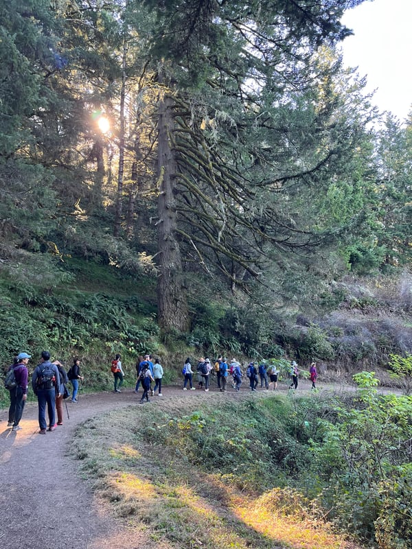 Hikers on a trail in Purisima Creek Redwoods preserve