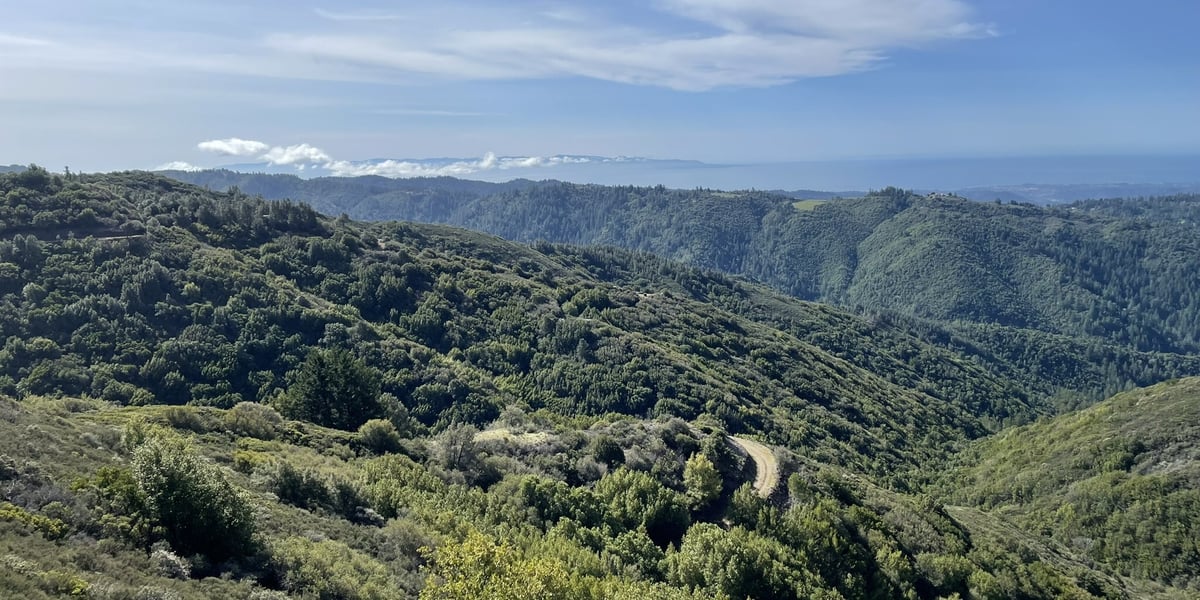 A view of the new property added to Sierra Azul Open Space Preserve 
