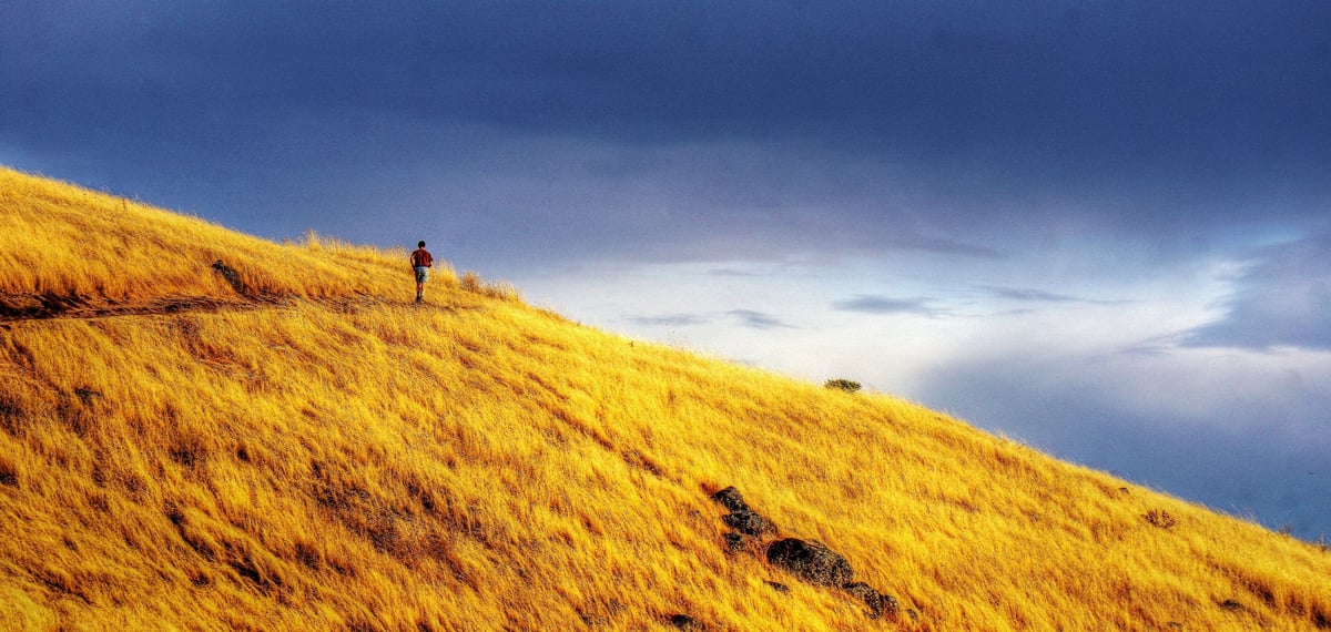 Photo of hiker on a golden hill (Charles Tu)