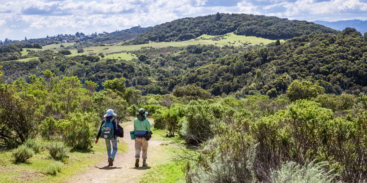 Two people walk along a trail in Pulgas Ridge Open Space Preserve