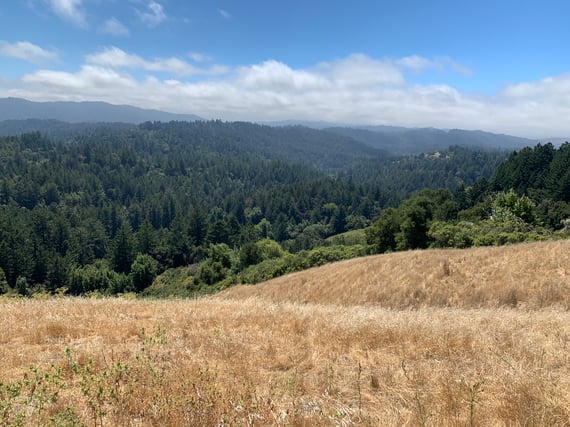 A scenic photo of a newly purchased property