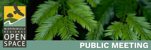 Public Meeting header photo