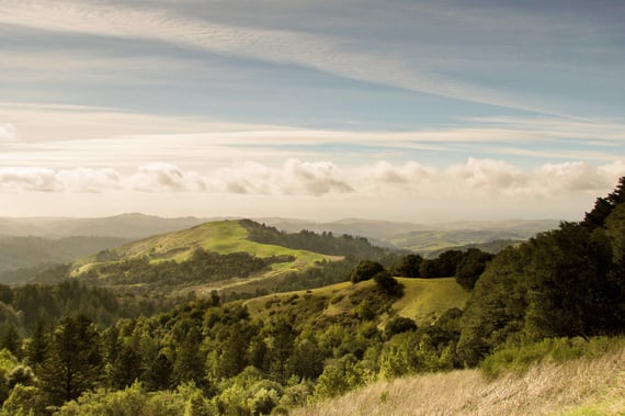 Landscape photo of Russian Ridge Open Space Preserve