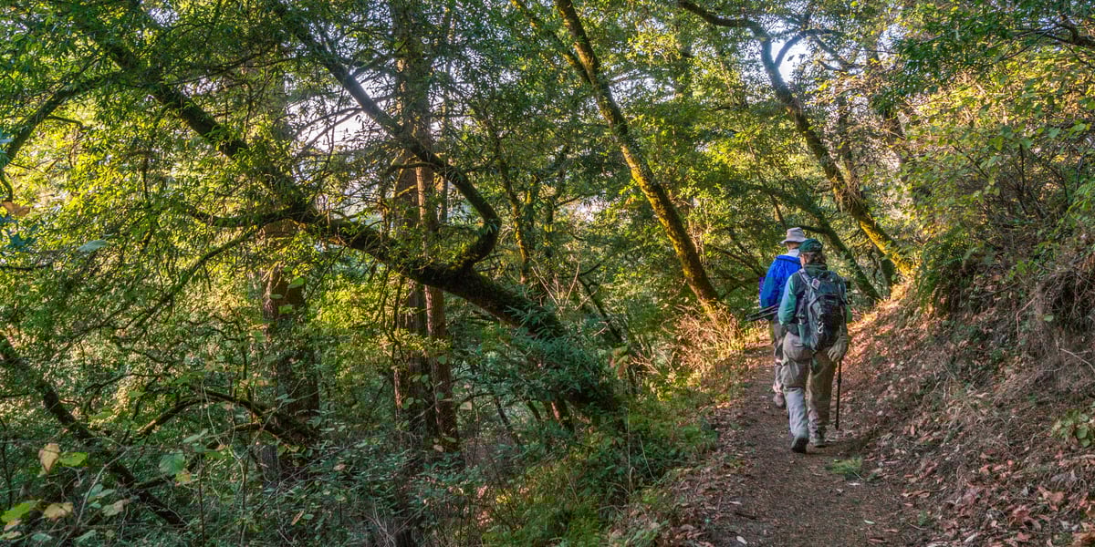 RR_Midpen_Karl-Gohl_ancient-oaks-trail-hiking_20131029_01