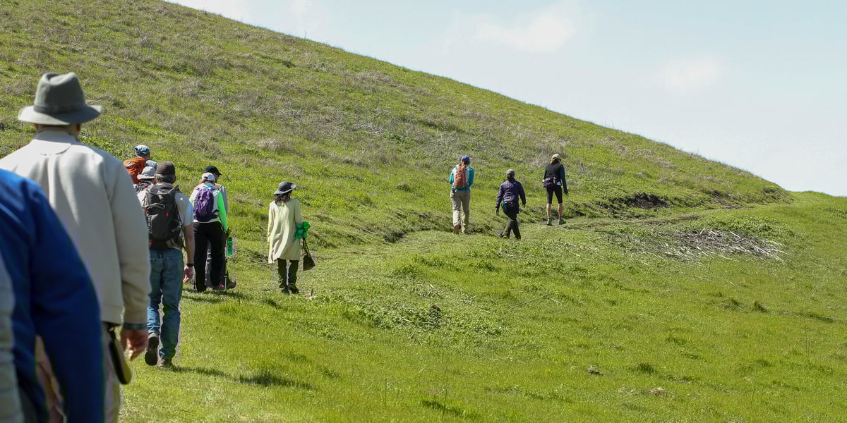 Group of hikers walk along trail on grassy hill