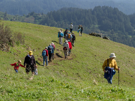 Group of people hike through a green field in Russian Ridge Preserve