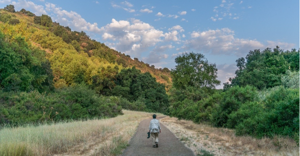 Man walking on trail