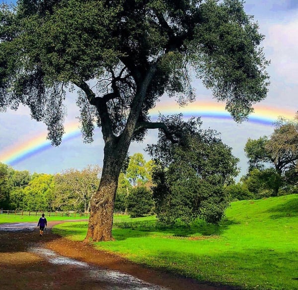 Rainbow arches in the sky above a hiker