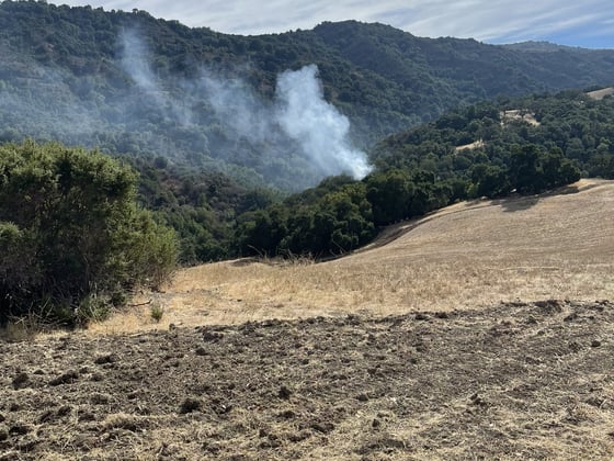 Images showing a fuel break through grasslands in the foreground and smoke rising from an oak woodland in the background.