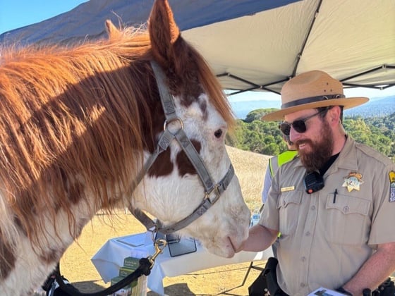 A Midpen Ranger interacts with white and brown spotted horse