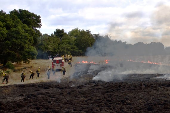 Midpen and CAL FIRE staff on the active prescribed burn site